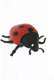 PROMO Biedronka z groszkiem 9cm p36 A141B-DB / gniotek