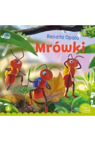 Mrwki