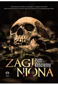 eBook Zaginiona mobi epub