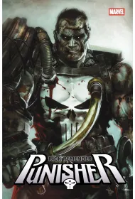 Punisher. Tom 1