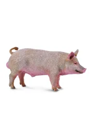 Knur