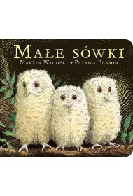 Mae swki