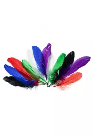 Brewis Pi�rka g�sie jaskrawe 15-20cm