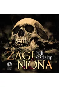 Audiobook Zaginiona mp3