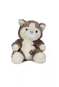 Niebieski nosek - Pies Husky * Carte Blanche