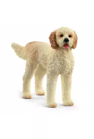 Goldendoodle SLH13939
