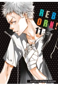 Katekyo Hitman Reborn! Tom 11