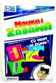 Nauka i zabawa - Co mam w domu? Fan