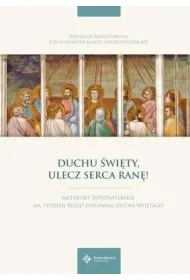 Duchu �wi�ty, ulecz serca ran�!