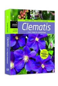 Clematis i inne pn�cza ogrodowe