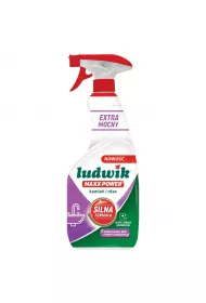 Ludwik MAXX POWER kamie i rdza 600 ml