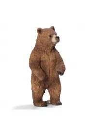 Nied�wiedzica grizzly