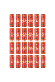 Vitamizu Napj lekko gazowany Yerba Mate Grejpfrut zgrzewka 24 x 330 ml