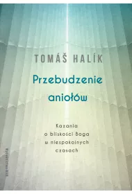 Przebudzenie anio��w. Kazania o blisko�ci Boga w niespokojnych czasach