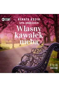 Audiobook Wasny kawaek nieba CD