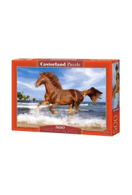 Puzzle 500 el. Ko� na pla�y Castorland