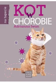 Kot w chorobie