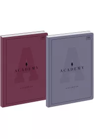 Interdruk Brulion A4 M Academy kratka 96 kartek