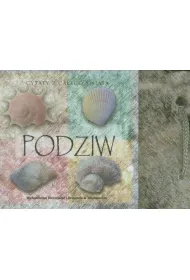 Kamyczki. Podziw * *