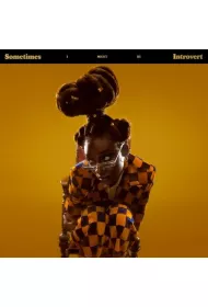 Sometimes I Might Be Introvert (CD)