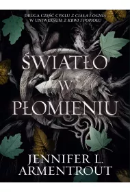 wiato w pomieniu