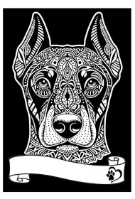 Kolorowanka welwetowa A4 Doberman