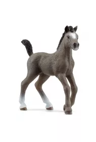 �rebak Rasy Cheval de Selle Francais SLH13957