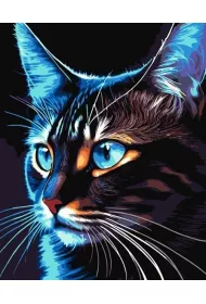 Qbee Malowanie po numerach - Cosmo-cat 40x50cm