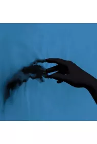 Modern Addiction (CD)