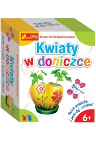 Kwiaty w doniczce Ranok-Creative