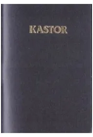 Kalendarz 2026 Kastor plastik