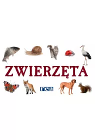 Rozk�adanka - zwierz�ta