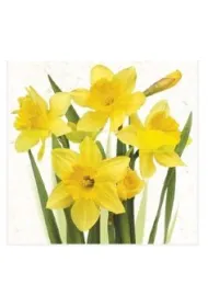Serwetka Lunch Bunch of Yellow Daffodils SDWI003901