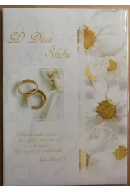 Panorama Ksi��eczka brokat A5 �lub 014