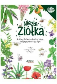 Niez�e zi�ka