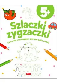 Szlaczki zygzaczki
