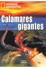 Calamares gigantes C1