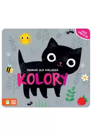 Zadania dla malucha Kolory