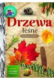 Drzewa le�ne. M�ody obserwator przyrody