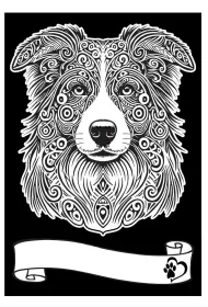 Kolorowanka Welwetowa A4 Border Collie