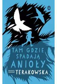 eBook Tam gdzie spadaj Anioy mobi epub