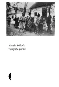Topografia pamici