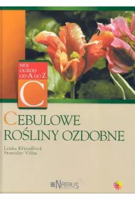 Cebulowe ro�liny ozdobne