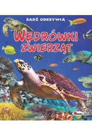 W�dr�wki zwierzat