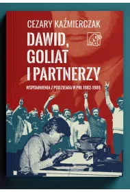 Dawid, Goliat i partnerzy. Wspomnienia z podziemia PRL 1982-89