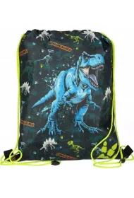 Worek na buty Dino STARPAK 550836