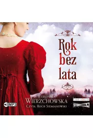 Audiobook CD MP3 Rok bez lata