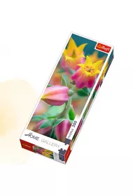 Puzzle 300 el. Home Gallery - Kwiaty w rozkwicie 75005 Trefl