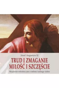 Audiobook Trud i zmaganie. Mio i szczcie mp3