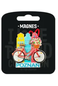 Pan Dragon Magnes Pozna�